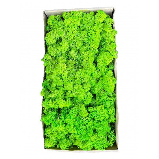 Licheni 500gr Green Grass Light