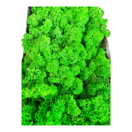 Licheni 500gr Green Grass Light