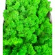 Licheni 500gr Green Grass Light