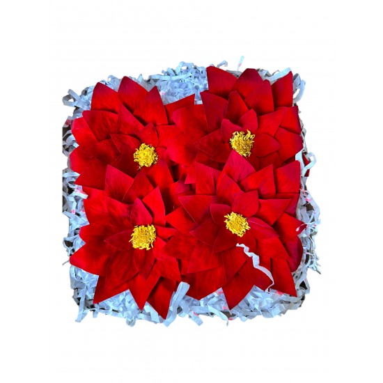 Poinsettias Rood Preserved