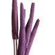 Babala Purple,Dried flowers, Babala Mov