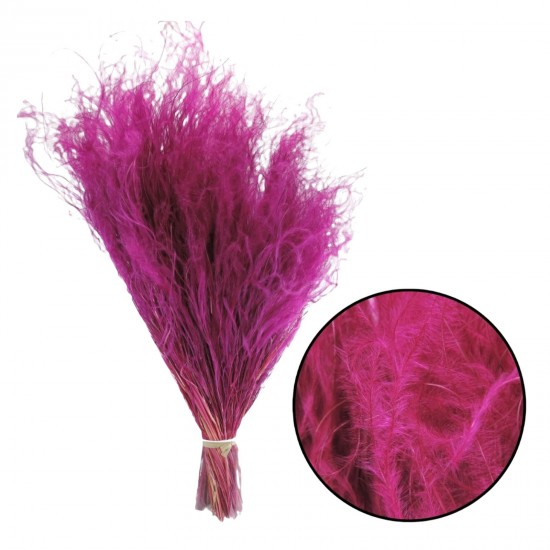 Stipha Dried Fuxia