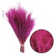 Stipha Dried Fuxia