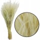 Stipha Dried Natural