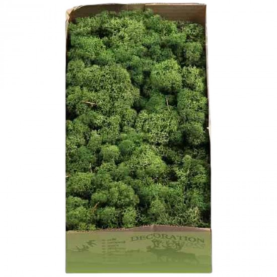 Licheni 500gr Moss Green