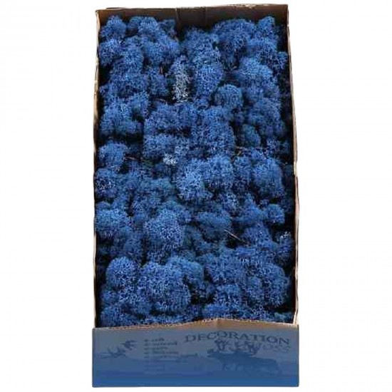 Licheni Royal Blue