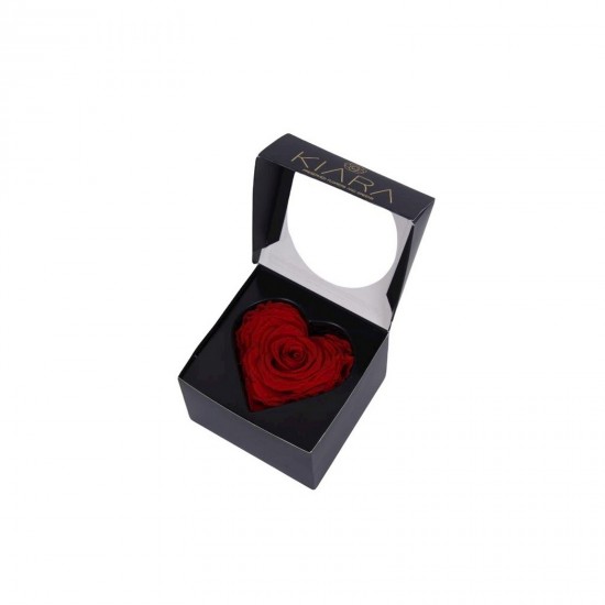 Rose Corazon Red 9cm
