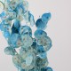 Lunaria Blue Pastel