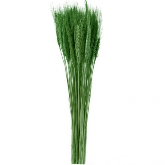 Spice de grau verde inchis 60cm