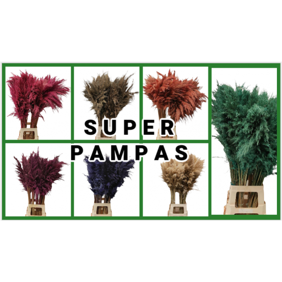 Pampas - Mix