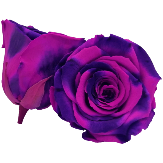 Combinație bicoloră: Cammo violet strălucitor și violet închis.