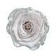Trandafir alb clasic cu o notă de efect de sclipici argintiu.