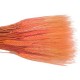 SPICE DE GRAU PEACH 60 CM